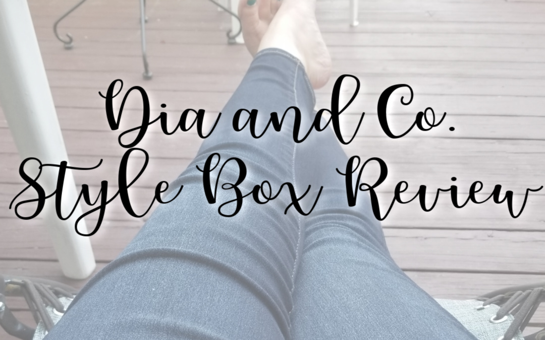 Dia and Co Stylebox Review for size 14