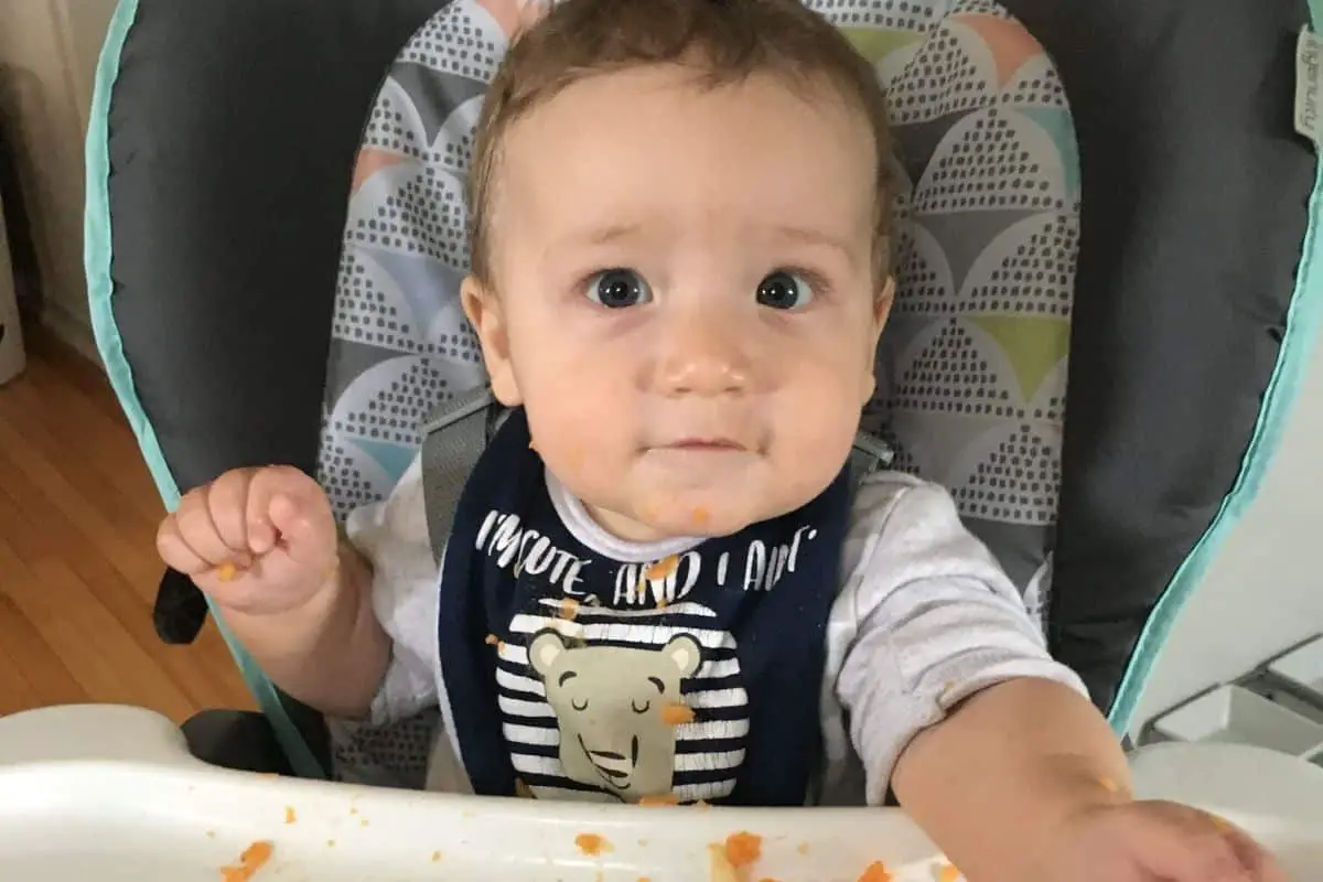 baby starting to eat solids in highchair