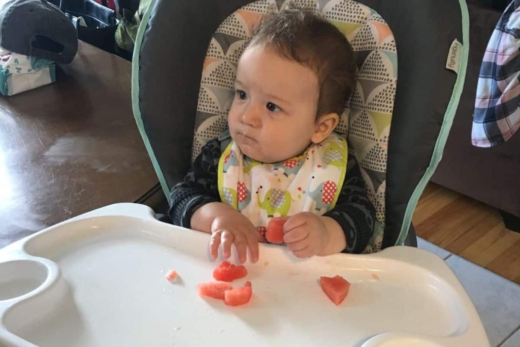 baby eating watermelon in highchair