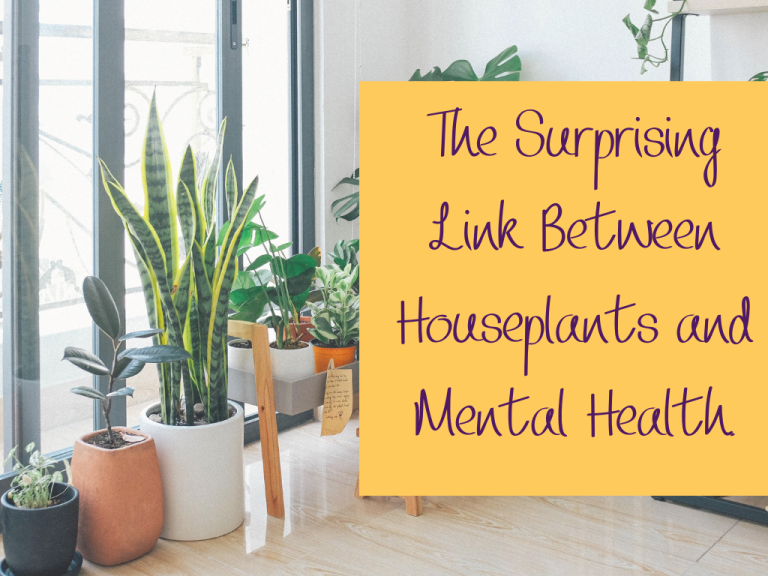The Surprising Link Between Houseplants and Mental Health