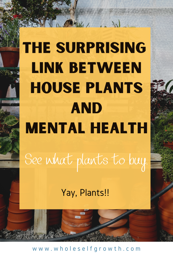 an image of a plant shed table, with t title over it that says, The surprising link between houseplants and mental health. See what plants to buy. Yay plants!!