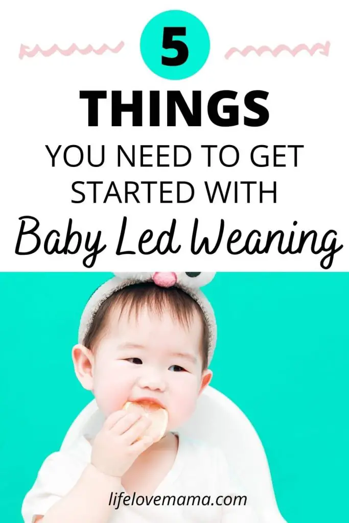 things you need for your baby for baby led weaning