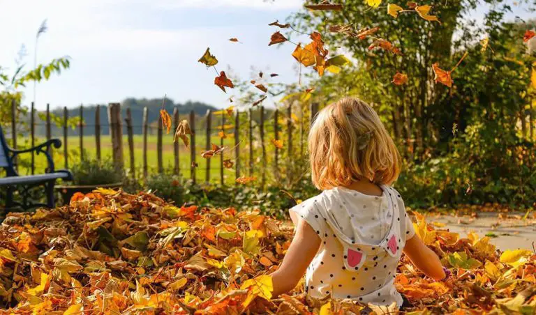 20 Exciting Fall Activities For Toddlers And Family