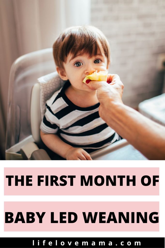 feeding baby through baby led weaning in the first month
