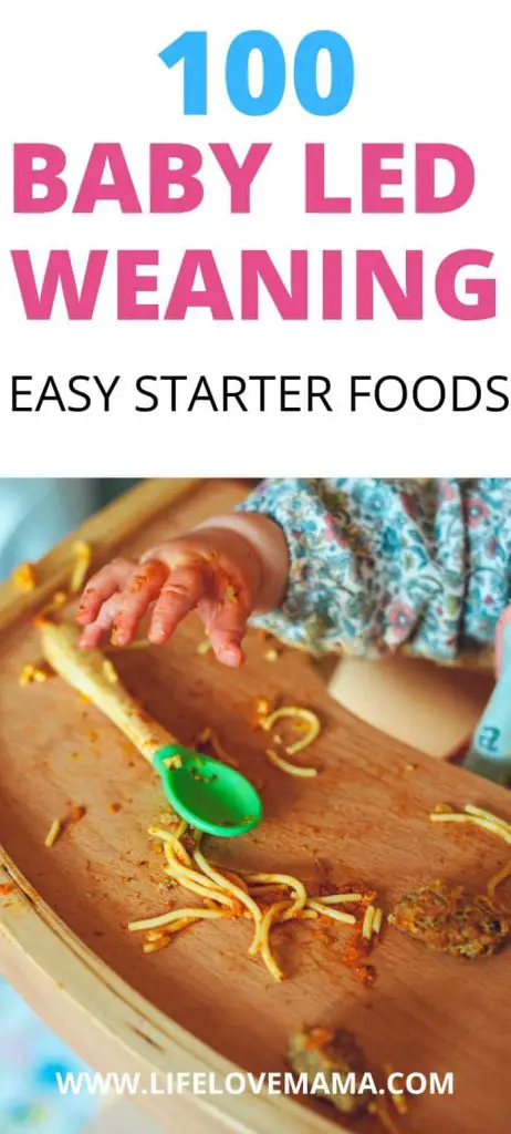 the best foods to start your baby led weaning journey