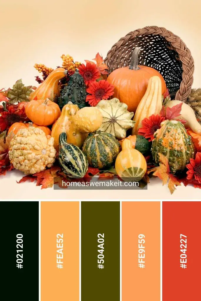 autumn gourds colors