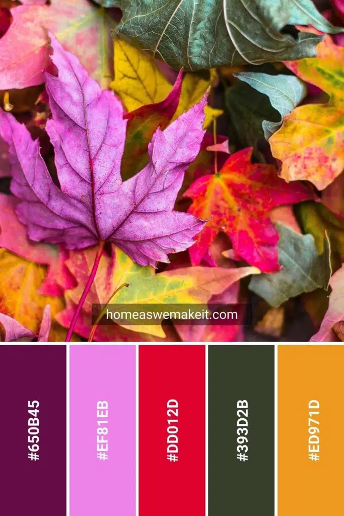 autumn leaves color palette with hex code