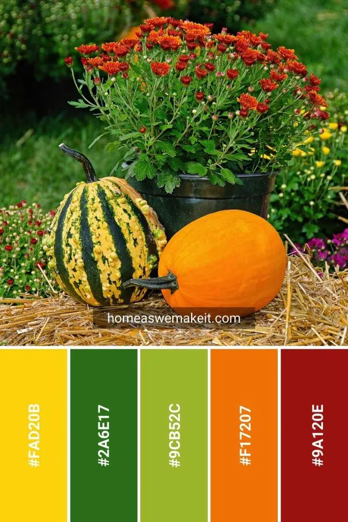 fall pumpkin flowers colors with hex code