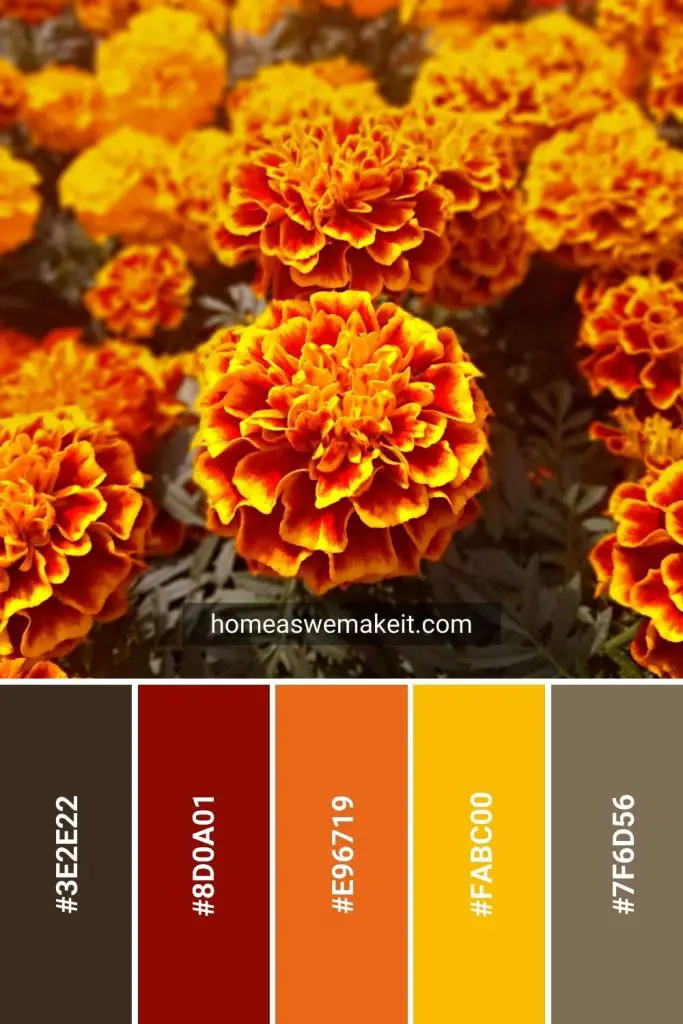 marigolds color palette